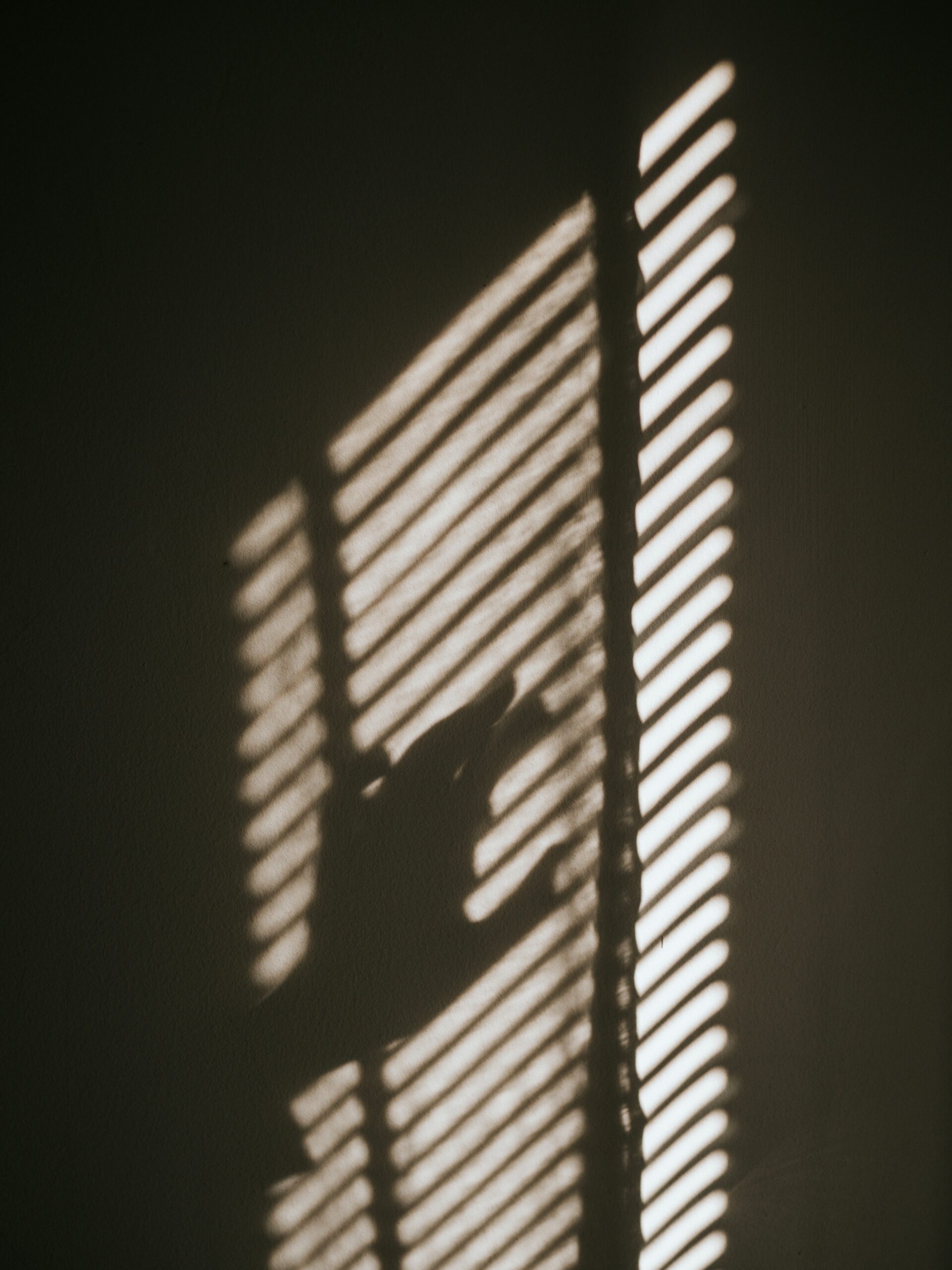 Photo by Lisa Fotios: https://www.pexels.com/photo/hand-over-blinds-on-window-14090314/