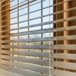 Windows Blinds